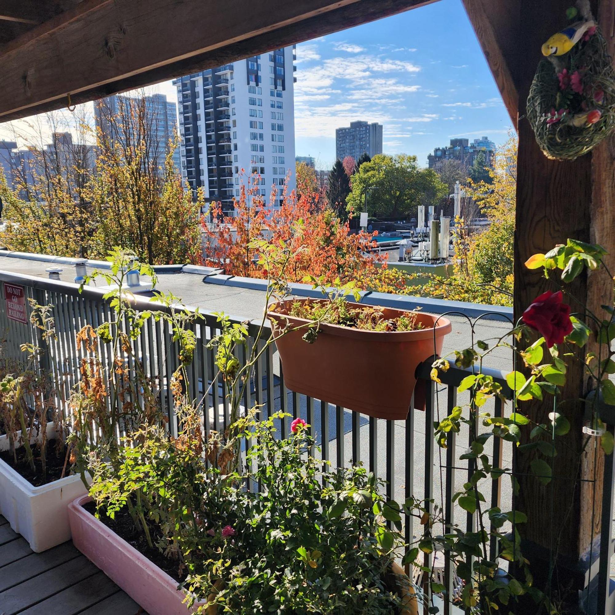 Times Square Suites Hotel Vancouver Bagian luar foto