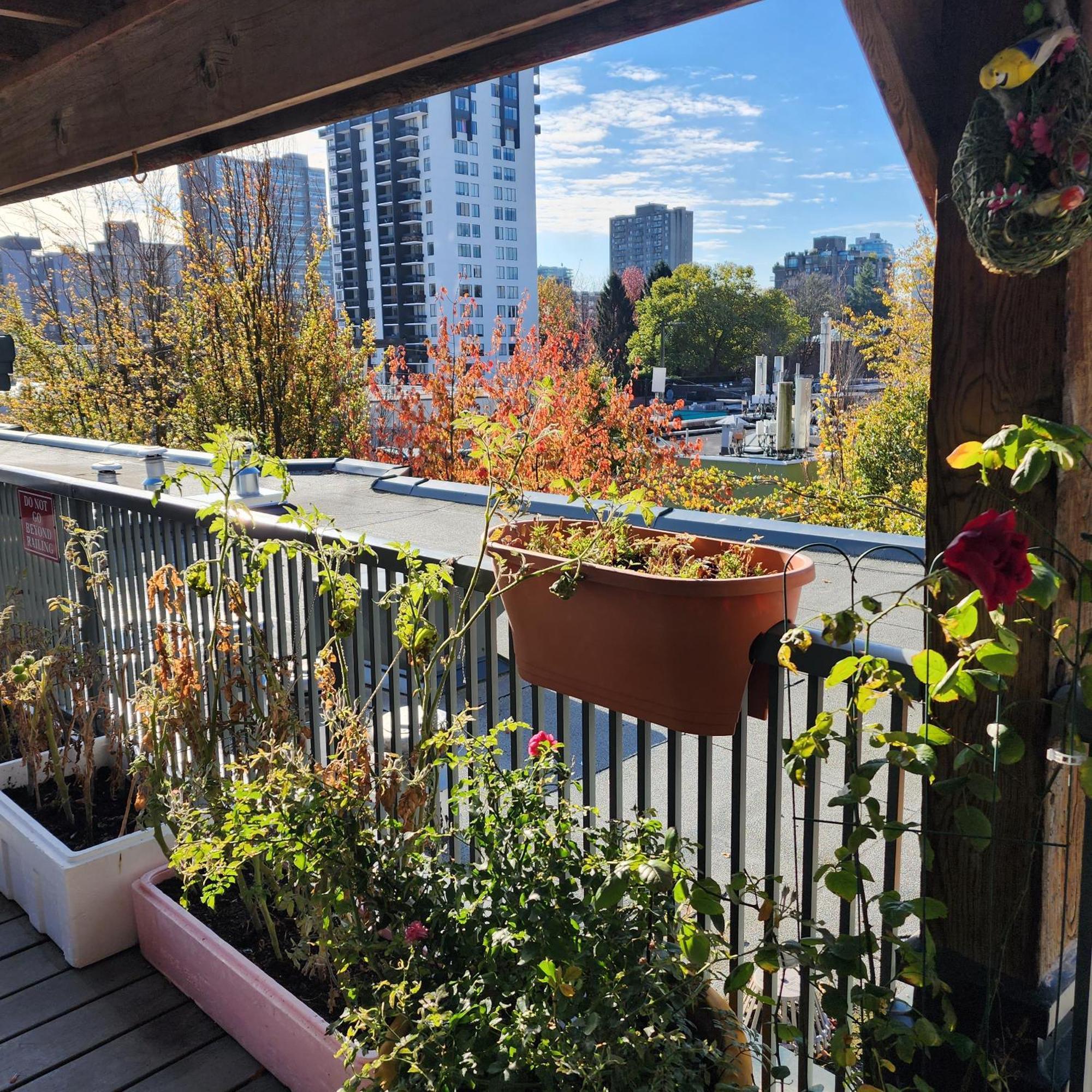 Times Square Suites Hotel Vancouver Bagian luar foto